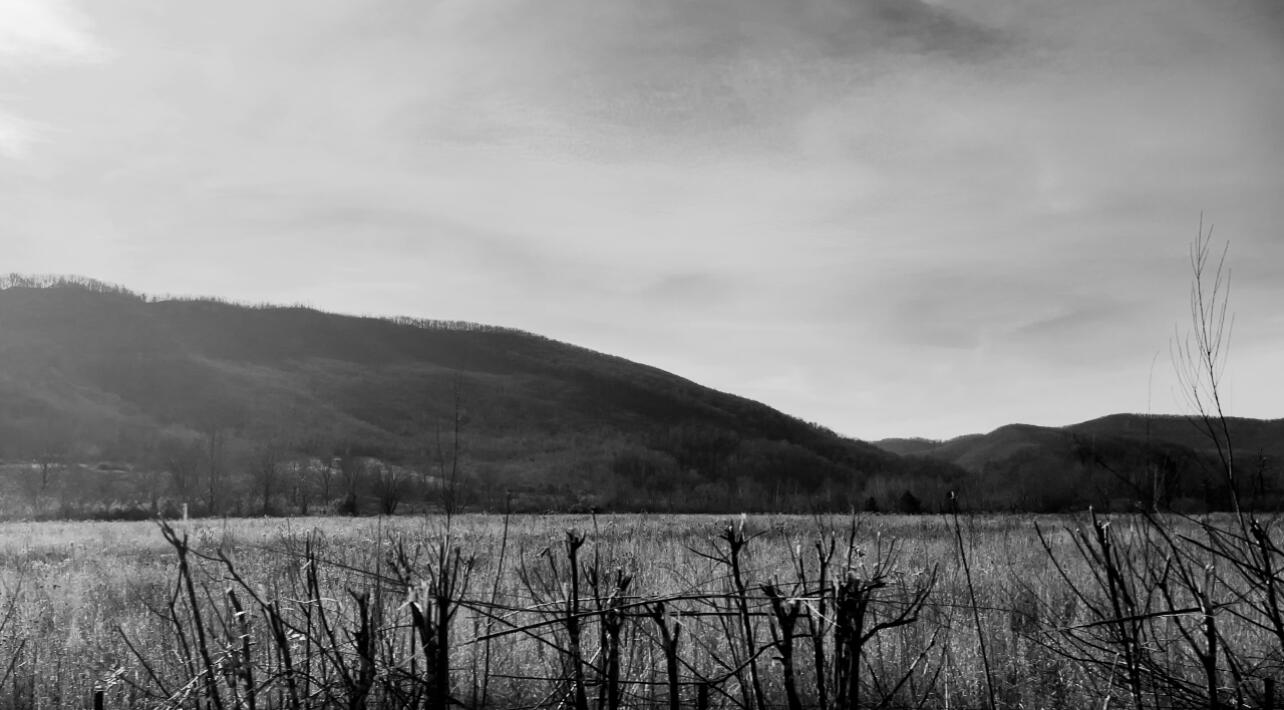 Call Me in The Mourning, 2025